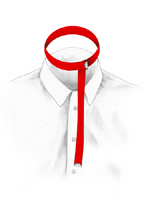 collar.jpg