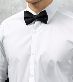 Bow Tie